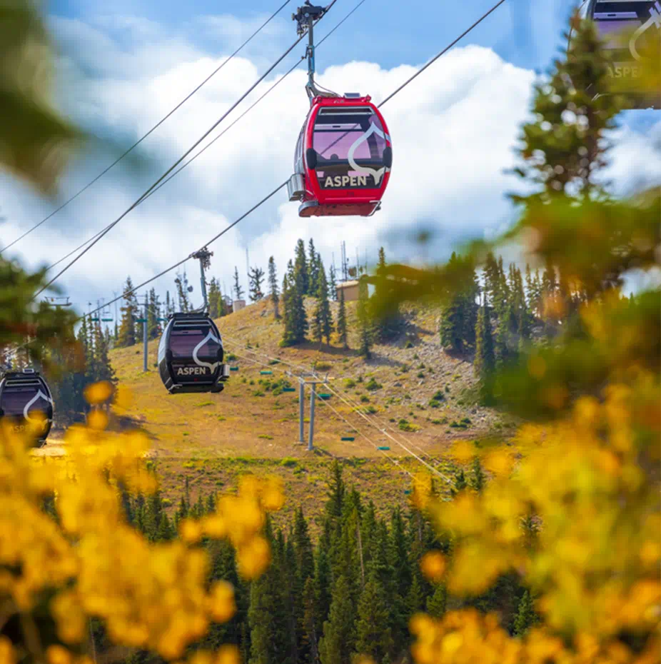 FALL IN ASPEN/SNOW MASS
